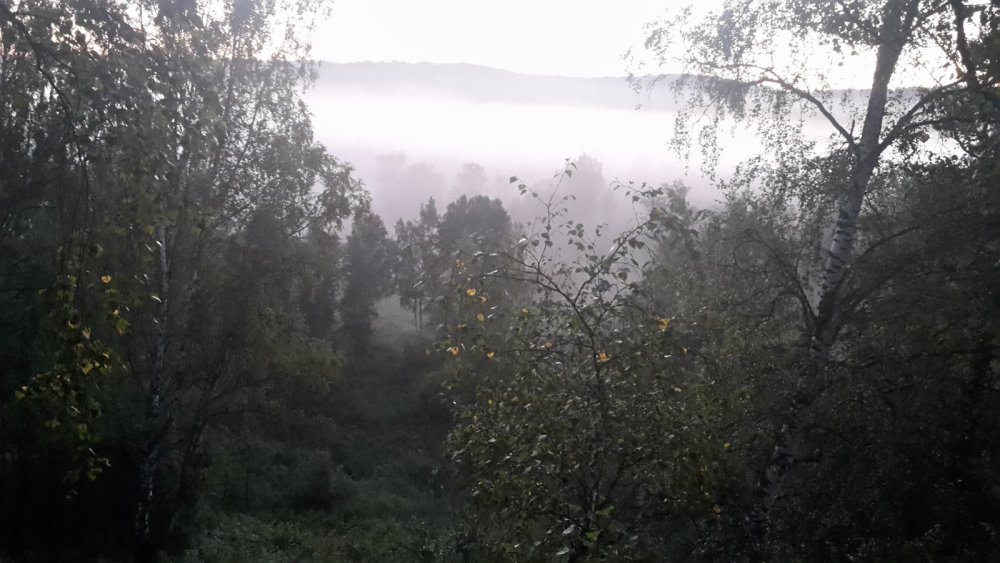 Утро