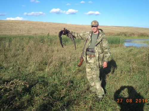 подранок.