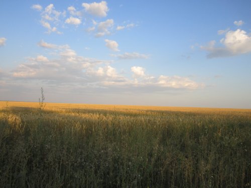Так думаю,