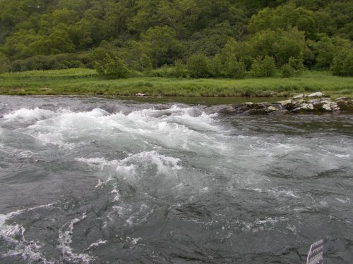 Река Быстрая (приток Большой) Камчатка июнь 2016