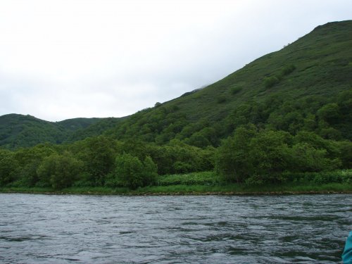 Река Быстрая (приток Большой) Камчатка