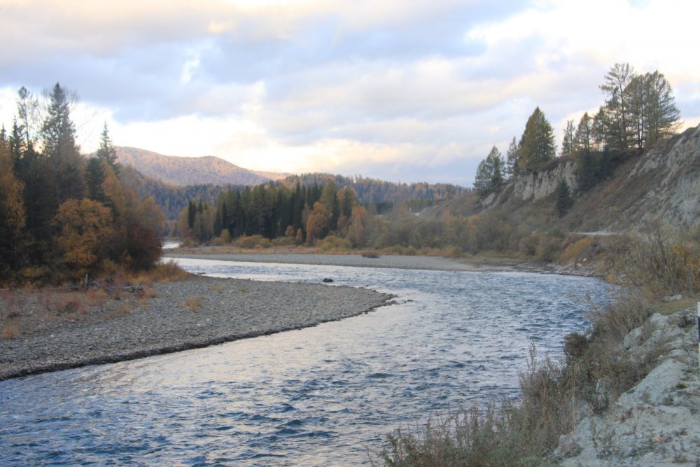 Алтай, река Кокса