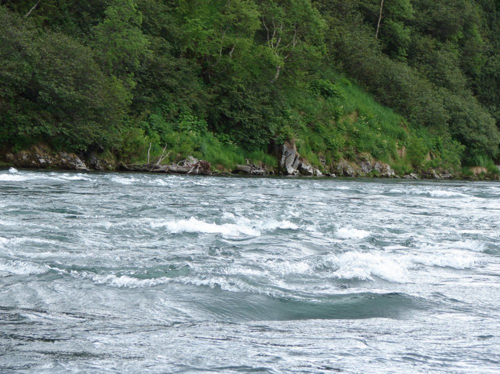 Река Быстрая (приток Большой) Камчатка
