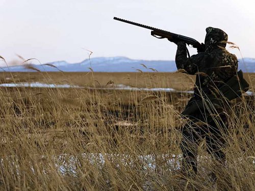 На Сахалине с 1 октября открывается охота по пушнине