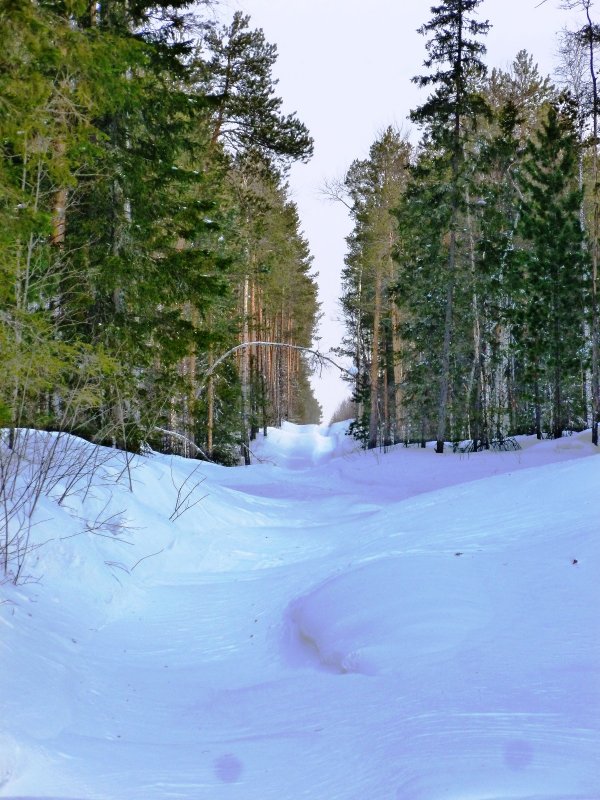 Запахло весной