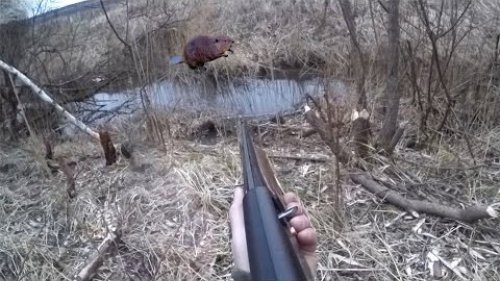 Путешествие в центр Сибири! Тувинский Бобр! Охотничье ремесло.