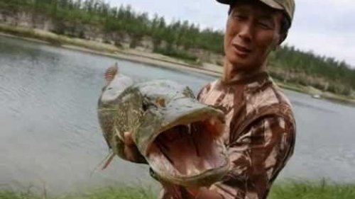 Ловим рыбу на реке Амга.  Рыбалка в Якутии.  Подводная охота.