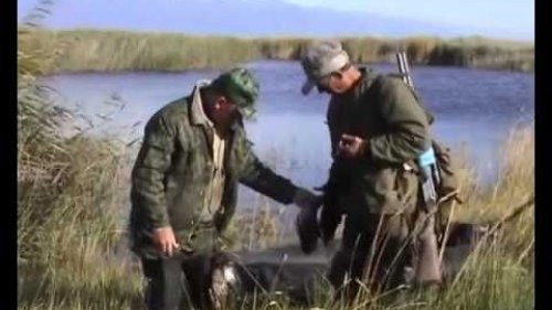 Утиные зори в Баргузинской долине