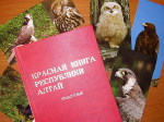 Проект приказа Минприроды «Об утверждении объектов животного мира, занесенных в Красную книгу"