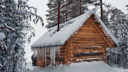 Белая книга тайги