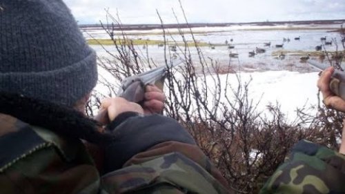 Зимняя охота на Гусей. Мороз и Гуси!