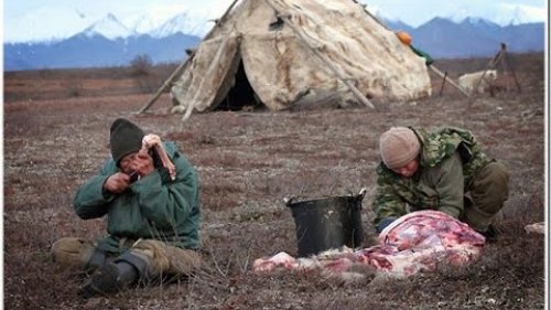 Жизнь и быт  аборигенов на Севере!
