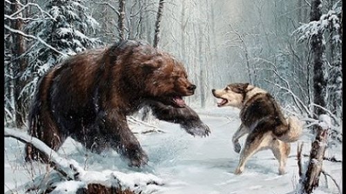 Охота на медведя ¦ Разные моменты ¦  Best Bear hunting ¦