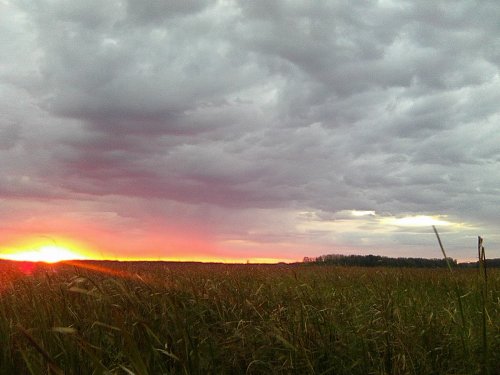 Прекрасный момент встречи