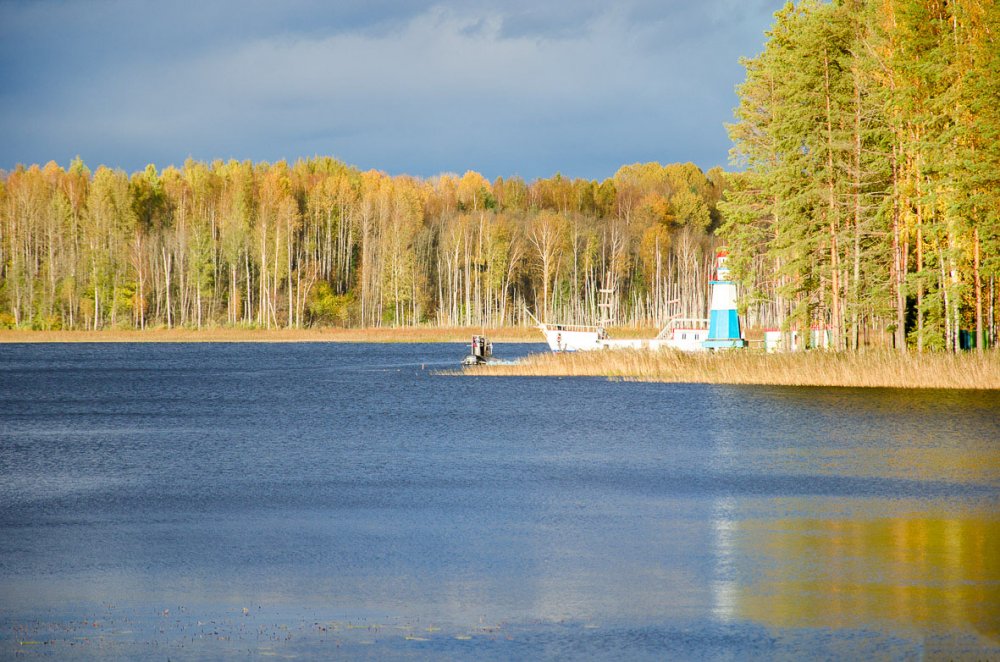 Осень на озере.