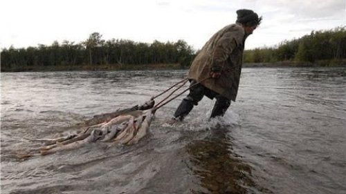 Рыбалка на Крайнем Севере! Река Ботоми. Жизнь и быт рыболовов!
