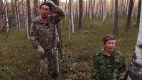 Охота на изюбря на реву  в Якутии