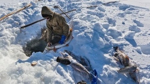 Сказочная  рыбалка в Себян Кюеле. Нетронутые места России.