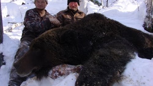 Охота на Медведя на берлоге! Зимний промысел
