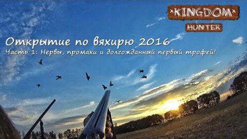 Открытие охоты по вяхирю 2016 Часть 1: Нервы, промахи и долгожданный первый трофей!
