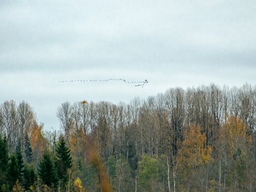 Полетели.