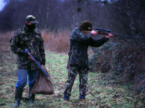В Тверской области только за прошедшие 9 месяцев было поймано 800 браконьеров
