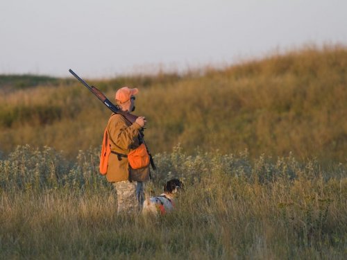 Томских охотников призывают отстреливать птиц рядом с аэропортом
