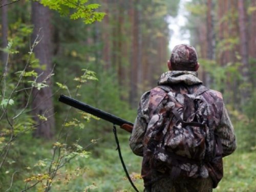 Охотник из Калужской области застрелил товарища перепутав его с лосем