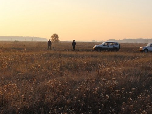 Осень охотника или сон в руку.