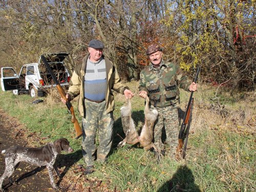 Заяц – зверь в полях не редкий