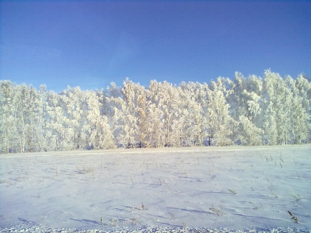 Творение природы.