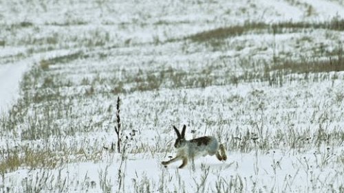 Открытие зимнего сезонна (перезалил)