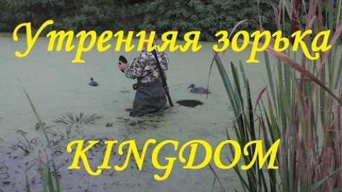 Охота на утку: Зорька под Киевом и много советов для начинающих!