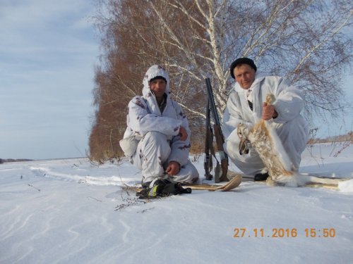 Обыкновенная охота на зайца