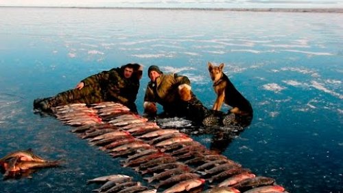 Зимняя рыбалка на Буотаме. Речка крайнего севера.