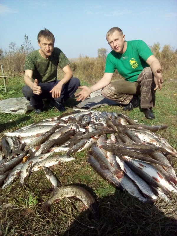 Рыбалка на оби