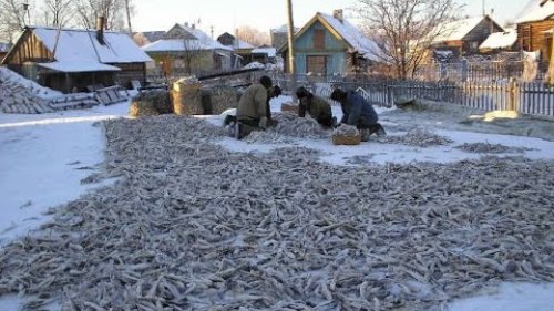 Весенняя рыбалка на озере Быранатталах. Республиканские соревнования среди Северных людей!