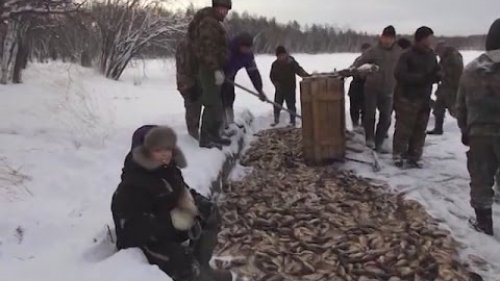 Сумасшедшая рыбалка в Якутии.  Тойон мунха