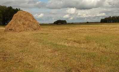 У перелёта