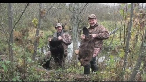 Охота на бобра - Hunting in Russia Охота на бобра - Hunting in Russia