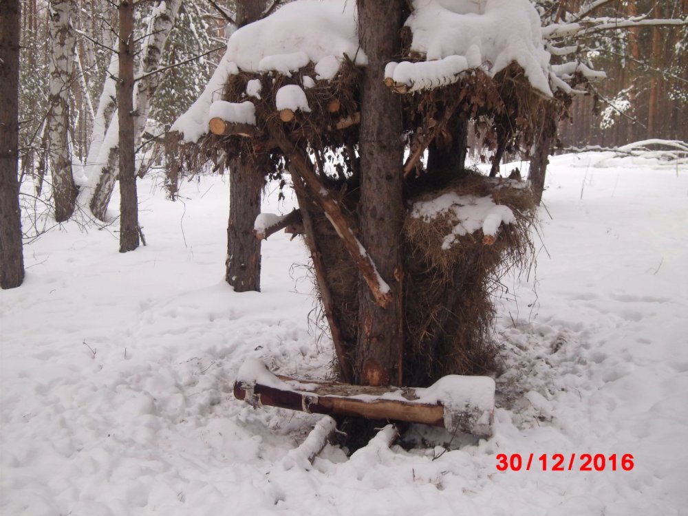 кормушка и солонец