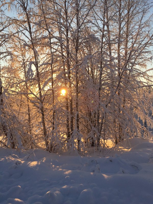 Красота