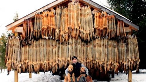 Будни эвенкийских охотников! Промысловая жизнь в тайге.