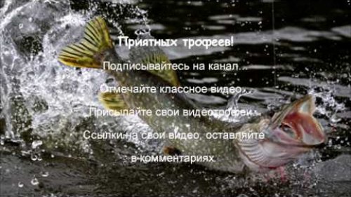 Щучьи выкрутасы. Свечки.