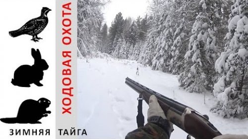 Ходовая зимняя охота. Рябчик, заяц и бобер не пострадали.