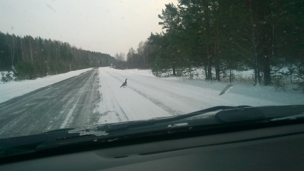 Встреча
