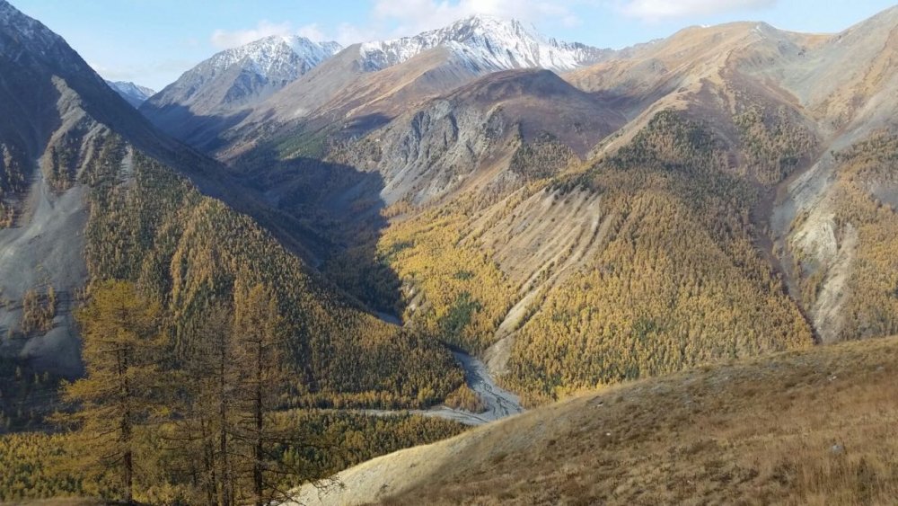 Алтай