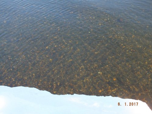 Чистейшая вода в реке, в Сибири! Где? Когда?