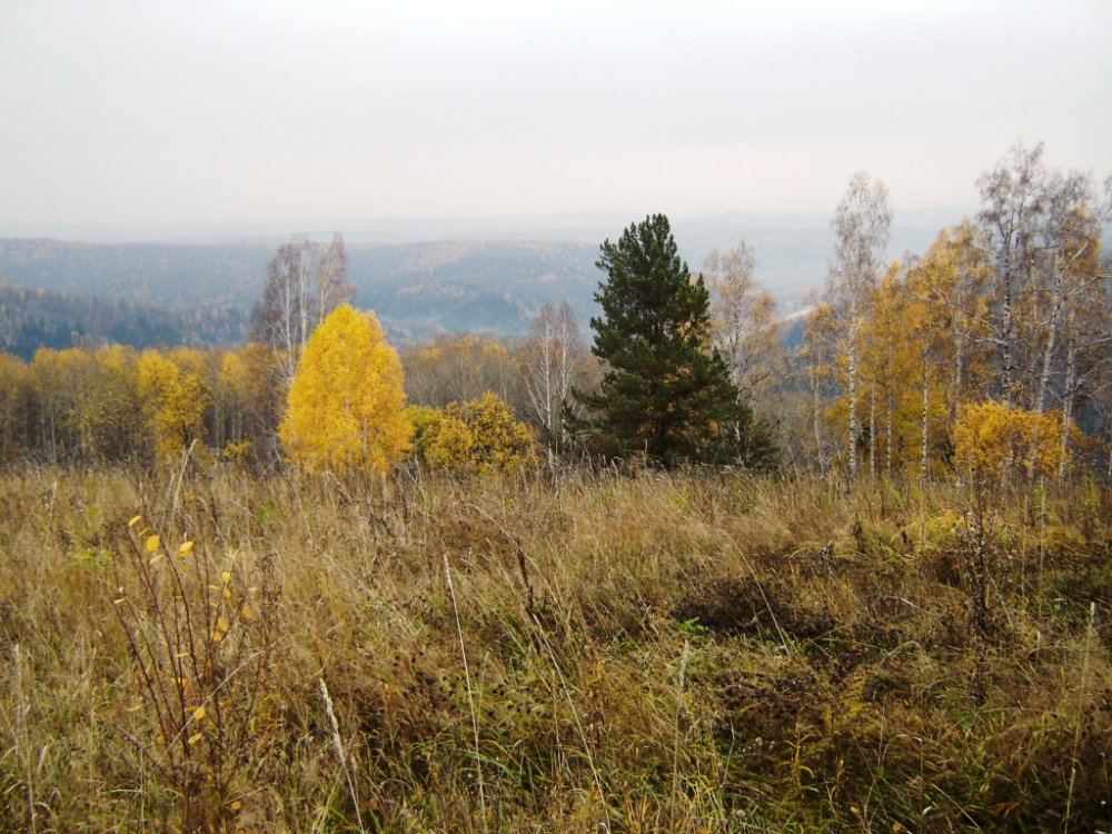 Осень