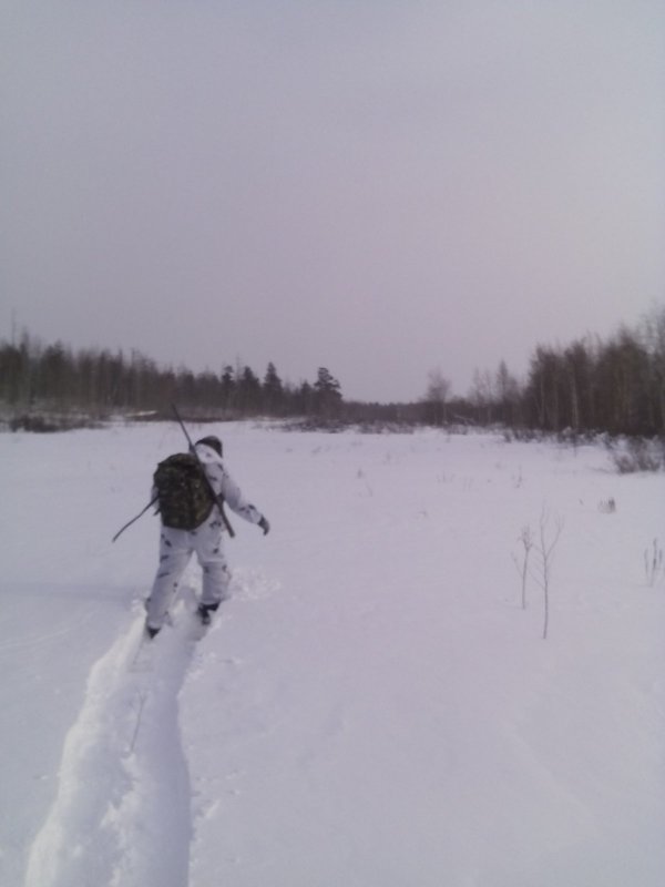 вылозка.